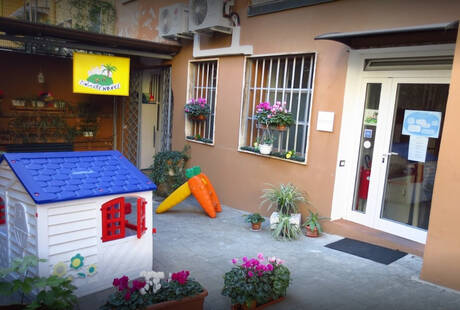 Asilo Nido L'Isola Che Non C'E'