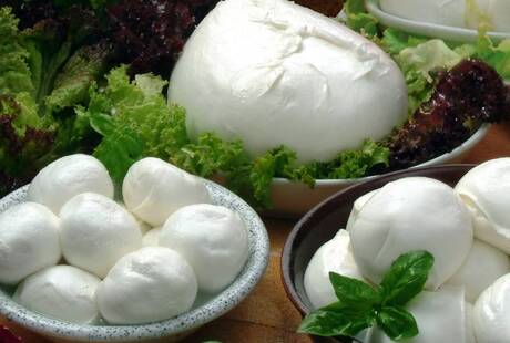 Elite Catering S.r.l.