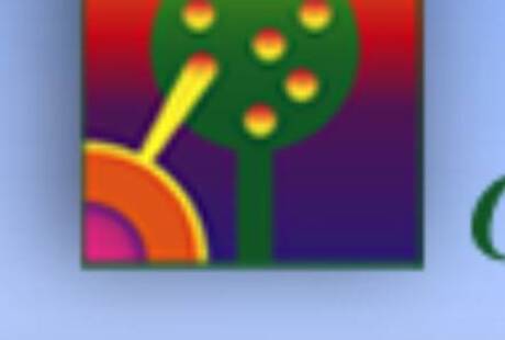 Green Foods Service S.r.l.