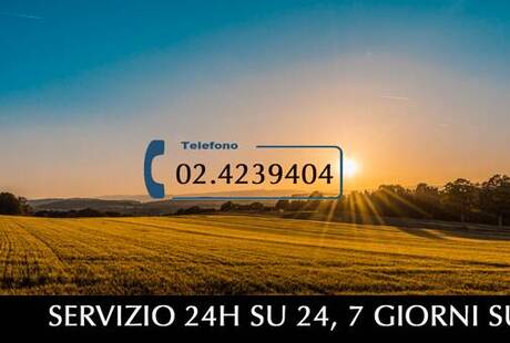 Onoranze Funebri Mediolanum