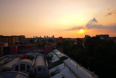 Rooftop Visionair