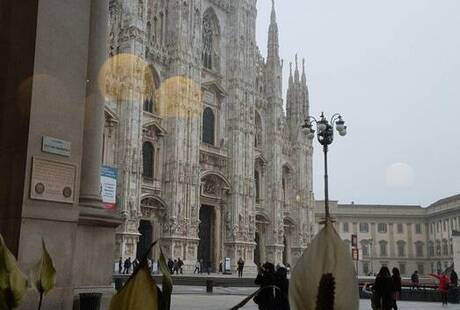Caffe Miani