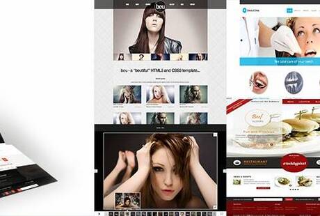 Web Designer.al