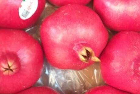 Dedortofrutta S.n.c.