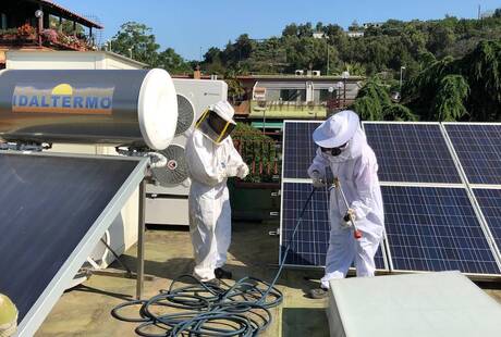 M.D. Disinfestazioni