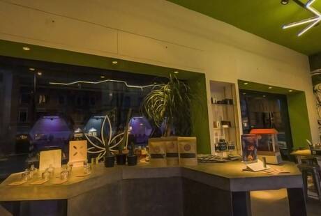 Hemp Embassy - Cannabis CBD & Hash Light