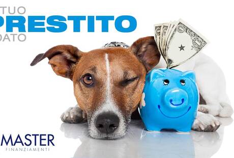 Master Finanziamenti Agente Vivibanca Network