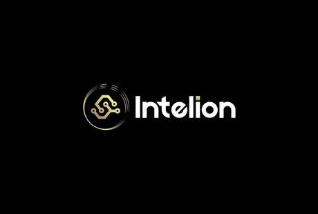 Intelion S.r.l.