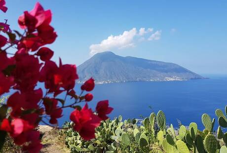 Studio Cassioli - Ledda