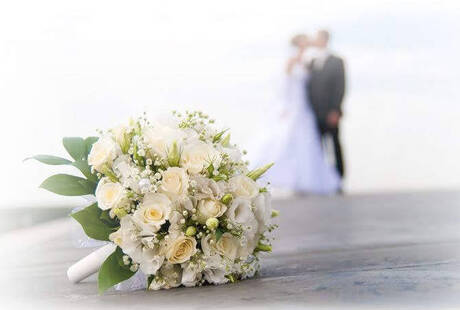 Wedding Team - Foto & Video