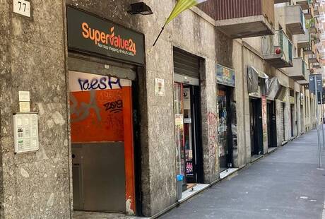 Mister Canapa H24