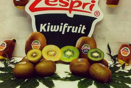 Negozio di Frutta e Verdura - Fruttiamo S.a.s.