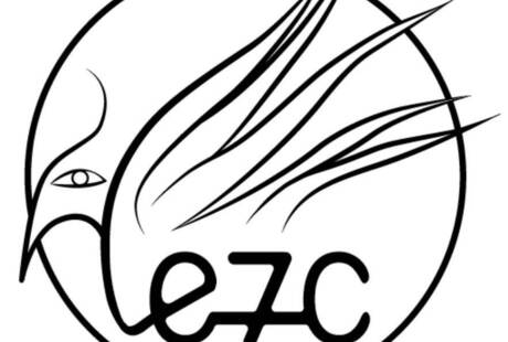 Edizioni Settecolori