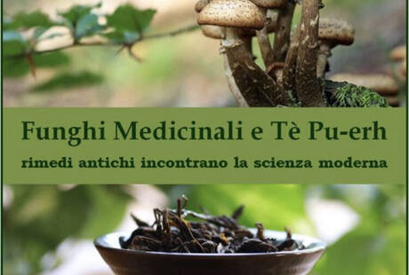 Shiatsu, Shiatsu in Gravidanza, Medicina Cinese, Agopuntura, Moxibustione, Fitoterapia, Dietetica, C