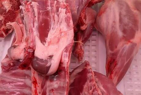 Macelleria Ali & Rita