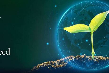 Digital Seed S.r.l.