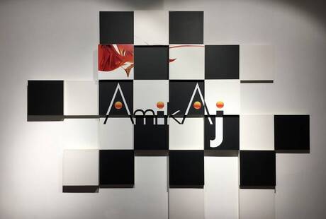 Amikaj S.a.s. di Cesare Lodi